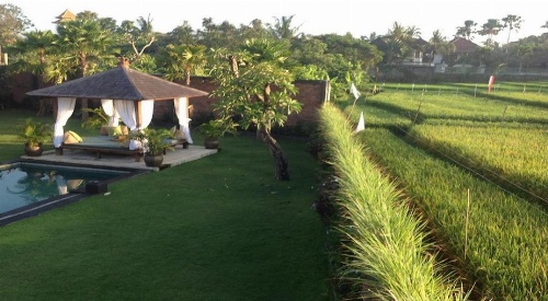 Ngeluwungan Boutique Hostel image 23